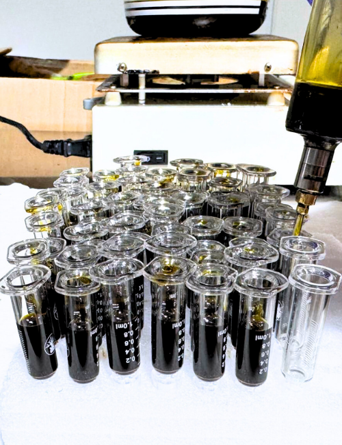 Untitled design (12)