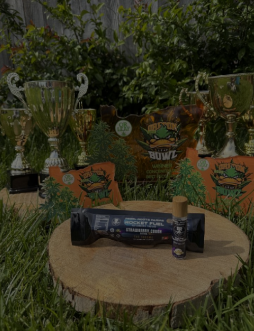 Untitled design (15)