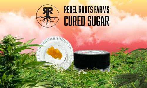 Rebel Roots Farms Cured Sagar
