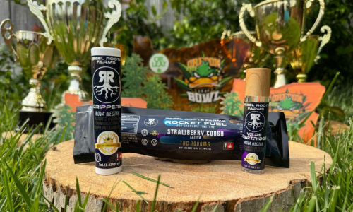 Untitled design (22)