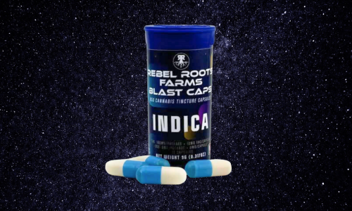 Untitled design (25)