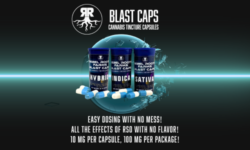 Untitled design (26)