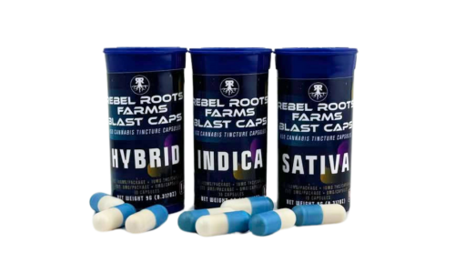 Untitled design (27)