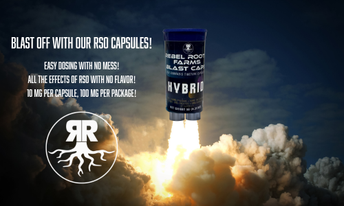 Untitled design (28)