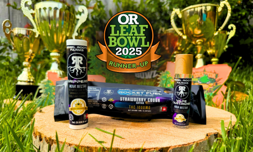 Untitled design (31)