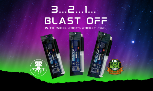 Untitled design (32)