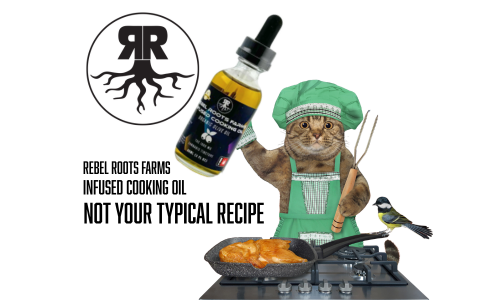 Untitled design (34)